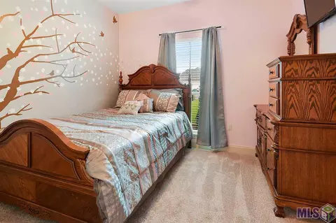 15069 Coldwater Dr, Walker, LA 70785 photo 4