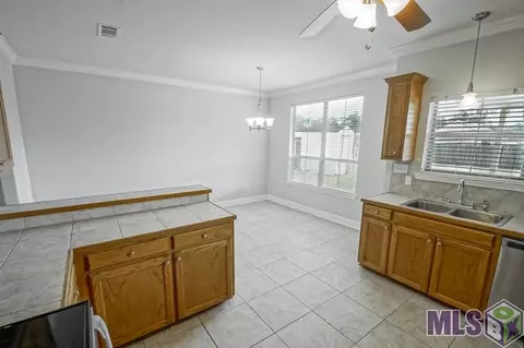 30392 Paul Dr, Walker, LA 70785 photo 13