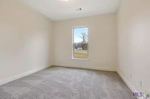 23366 Cypress Cv, Springfield, LA 70462 photo 10