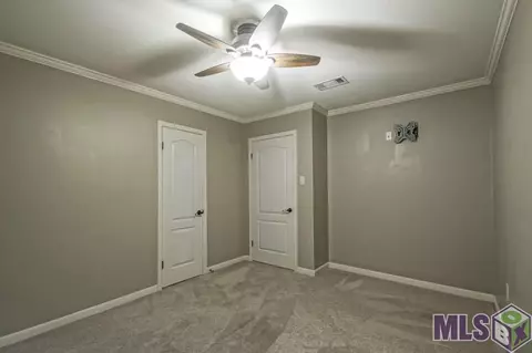 29612 Melanie St, Walker, LA 70785 photo 16