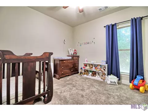 13099 Robin Dr, Walker, LA 70785 photo 15
