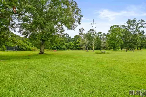 34060 N Walker Rd, Walker, LA 70785 photo 25