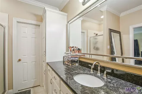 34060 N Walker Rd, Walker, LA 70785 photo 18