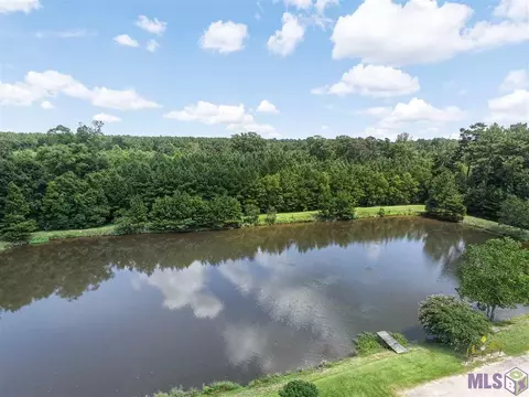 14129 Twelve Oaks Dr, Walker, LA 70785 photo 18