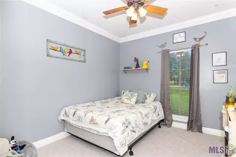 30431 Jackson St, Walker, LA 70785 photo 14
