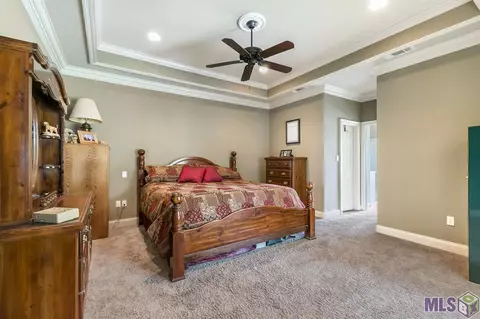 13420 Williamsburg Dr, Walker, LA 70785 photo 15