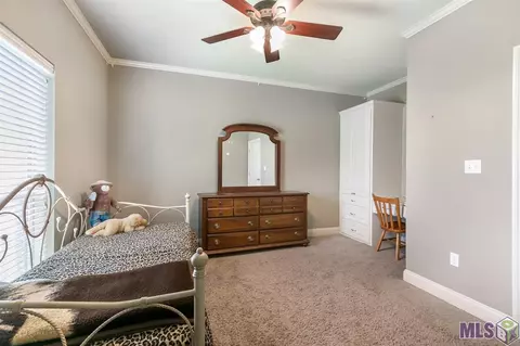 13420 Williamsburg Dr, Walker, LA 70785 photo 18