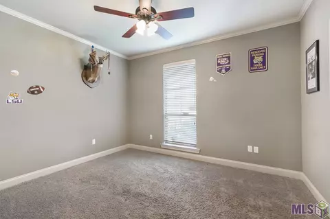 13420 Williamsburg Dr, Walker, LA 70785 photo 20