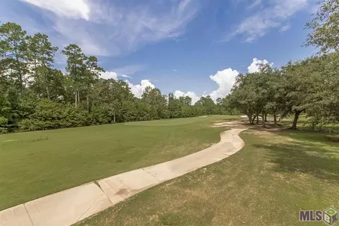 23695 Monarch Pt, Springfield, LA 70462 photo 34