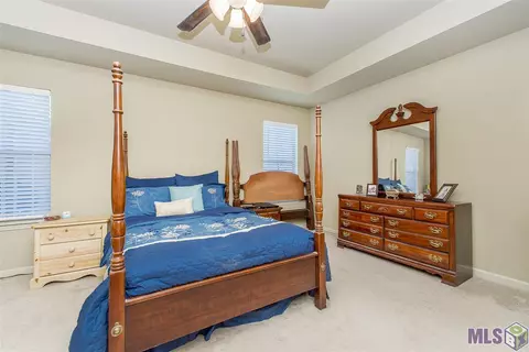 12271 Creekside Ave, Walker, LA 70785 photo 14