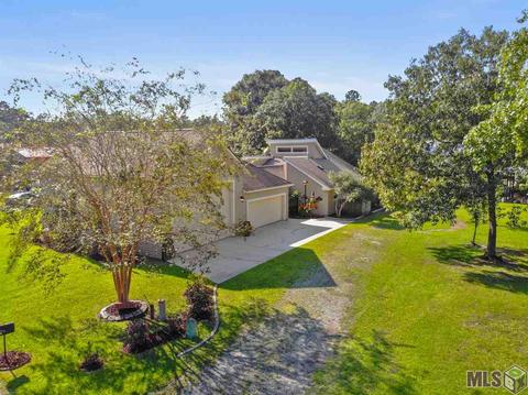 31338 River Pines Dr, Springfield, LA 70462 photo 1