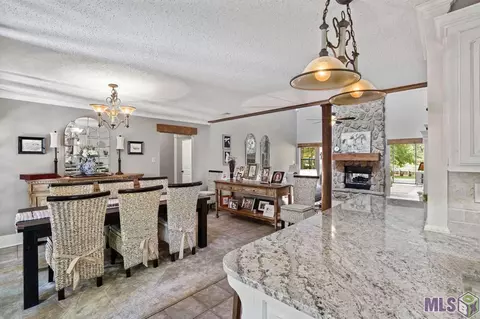 31338 River Pines Dr, Springfield, LA 70462 photo 17