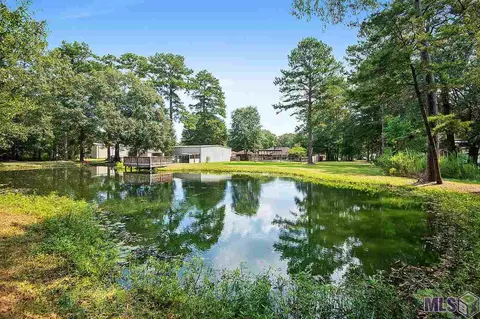 29403 S Anne Dr, Walker, LA 70785 photo 19