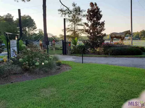 467 Hwy 35 S, Sandy Hook, MS 39478 photo 3