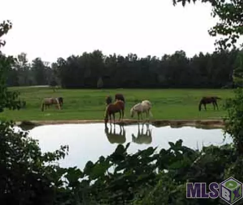 467 Hwy 35 S, Sandy Hook, MS 39478 photo 37