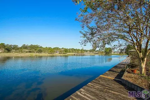 34035 Springlake Dr, Walker, LA 70785 photo 40