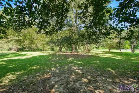 12035 Mockingbird Ln, Walker, LA 70785 photo 30