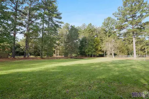 33725 Nancy Dr, Walker, LA 70785 photo 18