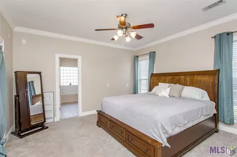 12425 Deerfield Dr, Walker, LA 70785 photo 14