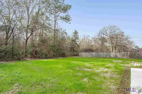 13170 Brian Park Dr, Walker, LA 70785 photo 11