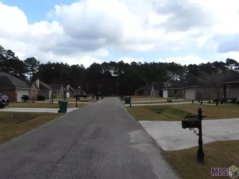 13624 Hopehaven, Walker, LA 70785 photo 16