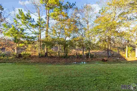 13227 Brookcrest Dr, Walker, LA 70785 photo 22
