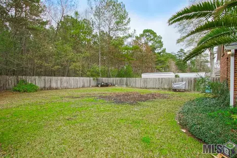 14367 Mckenzy Way, Walker, LA 70785 photo 32