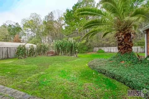 14367 Mckenzy Way, Walker, LA 70785 photo 30