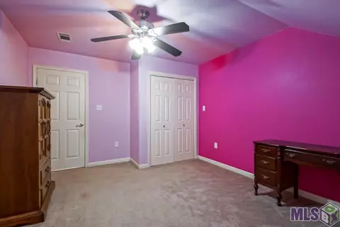 14367 Mckenzy Way, Walker, LA 70785 photo 26