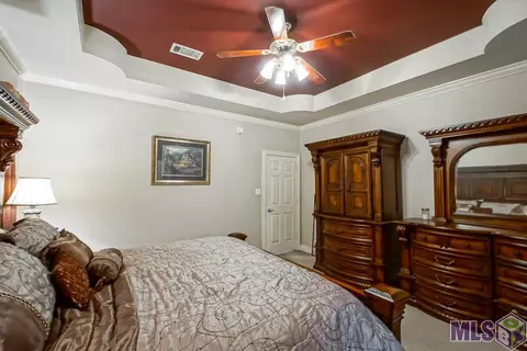 14367 Mckenzy Way, Walker, LA 70785 photo 14