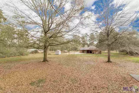 28831 Red Oak Dr, Walker, LA 70785 photo 10