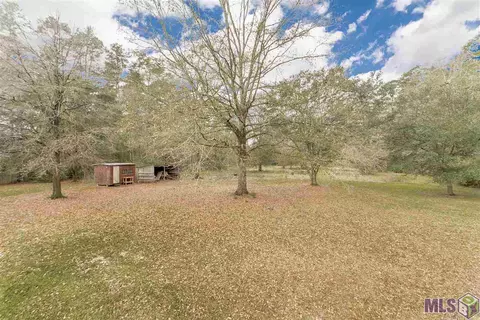 28831 Red Oak Dr, Walker, LA 70785 photo 8