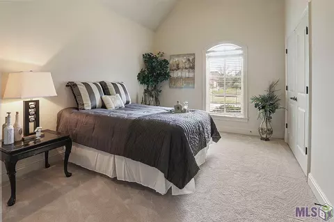 12319 Oak Brook Dr, Geismar, LA 70734 photo 18