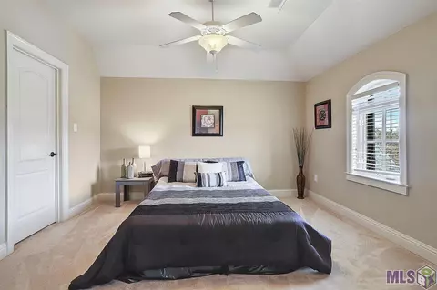 12319 Oak Brook Dr, Geismar, LA 70734 photo 27