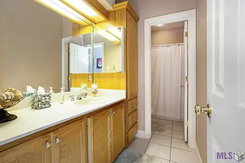 28820 Danielle Ben Dr, Walker, LA 70785 photo 25
