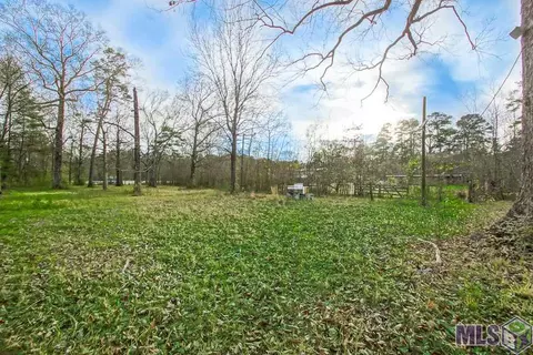 12110 Cardinal Dr, Walker, LA 70785 photo 27