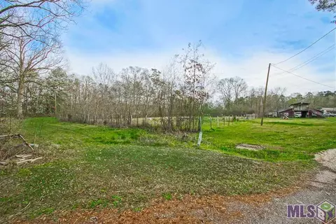 12110 Cardinal Dr, Walker, LA 70785 photo 28
