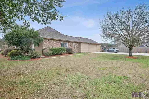 12668 Pendarvis Ln, Walker, LA 70785 photo 4