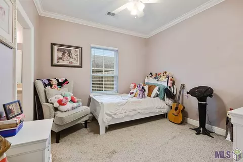 12668 Pendarvis Ln, Walker, LA 70785 photo 12