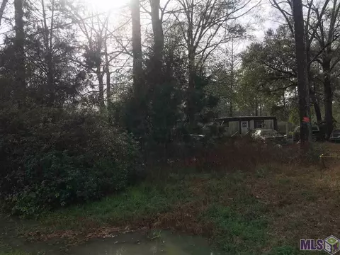 38517 Joe Lee Rd, Walker, LA 70785 photo 1