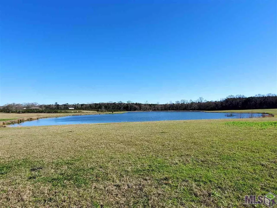  10730 E La Hwy 955, Ethel, LA 70730 photo 14