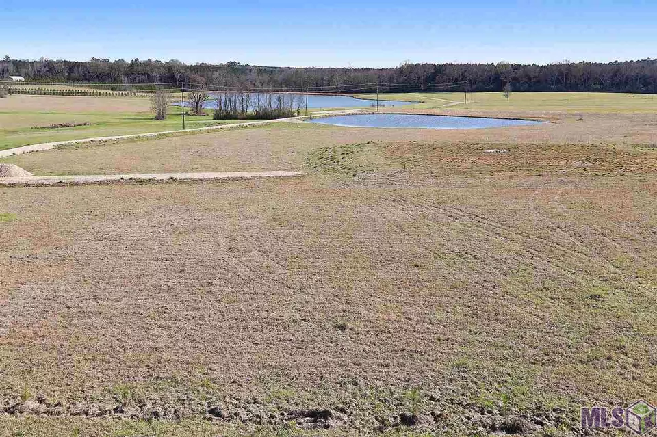  10730 E La Hwy 955, Ethel, LA 70730 photo 8