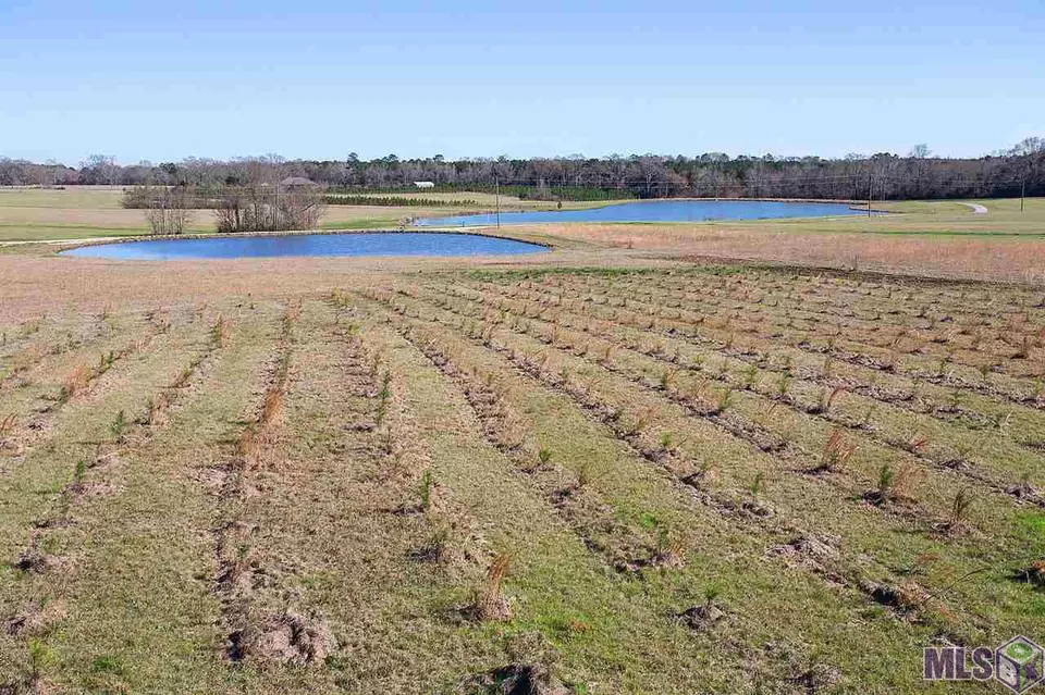  10730 E La Hwy 955, Ethel, LA 70730 photo 9