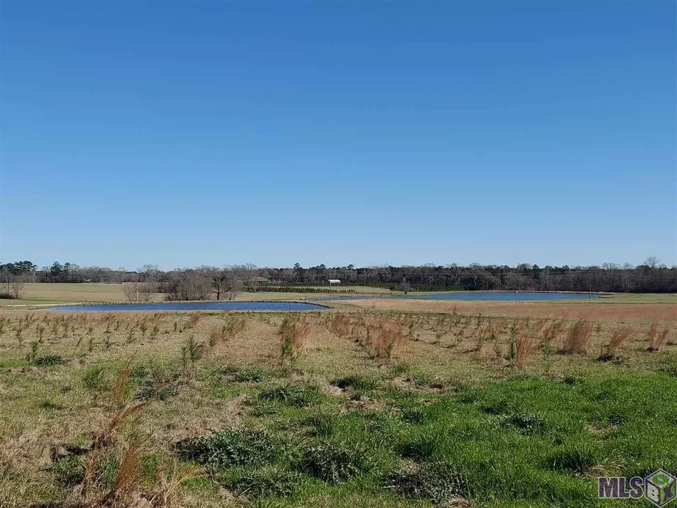  10730 E La Hwy 955, Ethel, LA 70730 photo 11