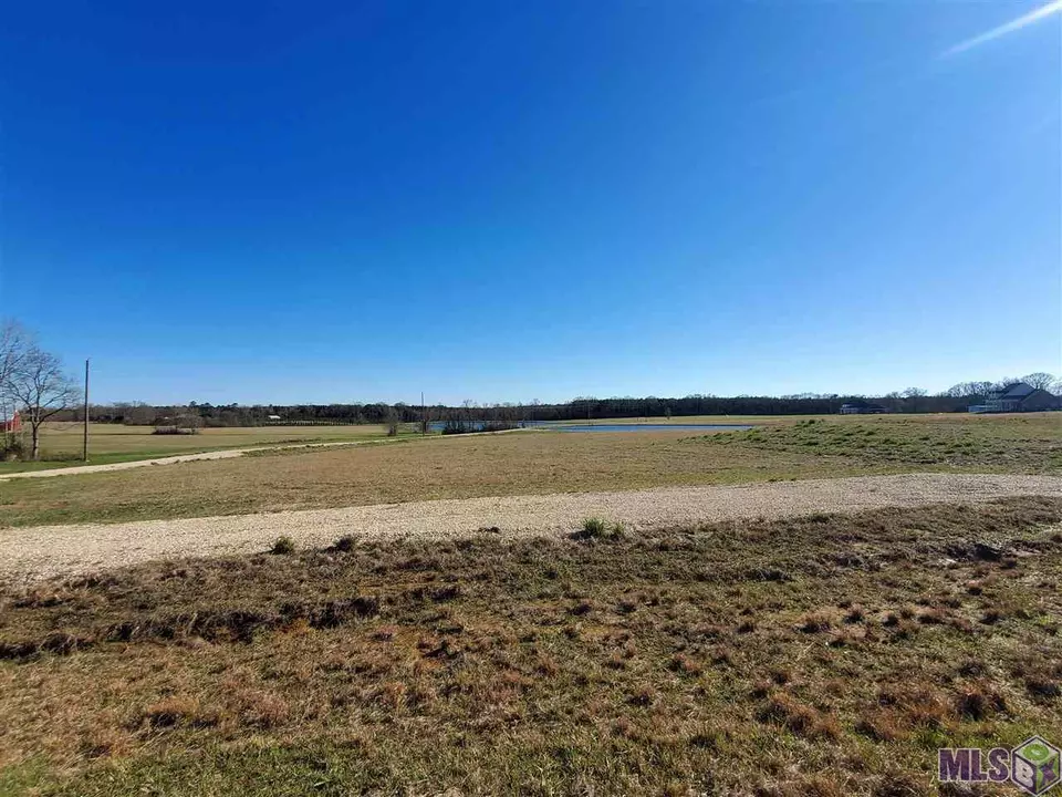  10730 E La Hwy 955, Ethel, LA 70730 photo 13