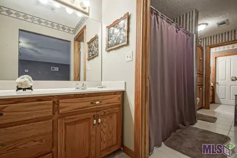 12365 Clanton Dr, Walker, LA 70785 photo 17