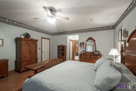 12365 Clanton Dr, Walker, LA 70785 photo 11