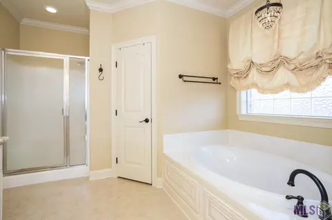 28050 Great Eagle Ave, Walker, LA 70785 photo 27