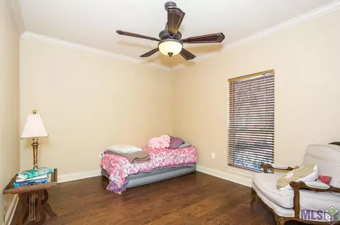 28050 Great Eagle Ave, Walker, LA 70785 photo 29
