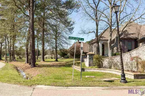 28050 Great Eagle Ave, Walker, LA 70785 photo 43